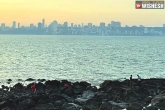 Murud Beach, Mumbai beaches pictures, best beaches to visit in mumbai, Travel