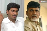 TDP, TDP, tdp wins in majority places over ysrcp in municipal by elections ysrcp wins only in mangalagiri, Mangalagiri