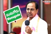 KCR plans for Munugode bypoll, Munugode bypoll election campaign, munugode bypoll to take place in november, Election campaign