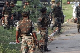 Assam, Assam, ndfb s hideouts busted major jolt to militants, Assam