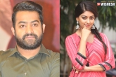 Tarak, NTR new film, tarak to romance anu emmanuel, Ntr new film