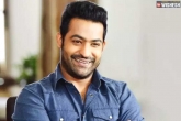 NTR for a reality show, NTR turns host, ntr to host a reality show for gemini tv, Next movies