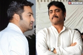 Nagarjuna NTR Oopiri, Nagarjuna NTR Oopiri, listen first don t get angry ntr with nagarjuna, Oopiri movie