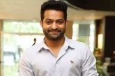 NTR news, NTR latest, ntr s appeal for his fans, Siva movie