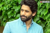 Naga Chaitanya statement, Naga Chaitanya statement, everything is just a lesson naga chaitanya, Tollywood news