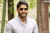 Naga Chaitanya latest, Naga Chaitanya latest, chaitu all set to step into the shoes of anr, Chaitu