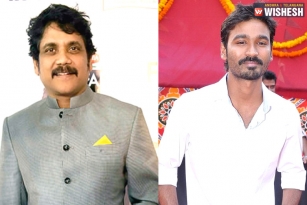 Nag And Dhanush To Team Up For A Multi-Starrer?
