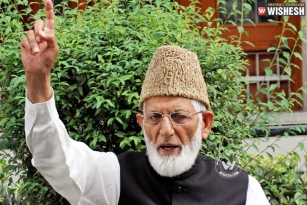 National Outcry on Geelani&rsquo;s passport issue - No traces of Support even from hardline activists