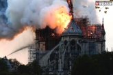 Notre Dame damage, Notre Dame fire, fire breaks out at notre dame cathedral, Paris