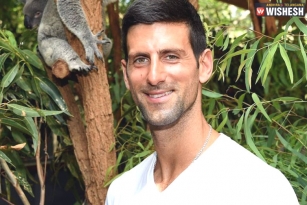 Novak Djokovic Tested Positive With Coronavirus