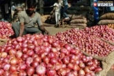 Onion prices new updates, Onion prices new updates, onion prices farmers did not gain anything, Onion prices