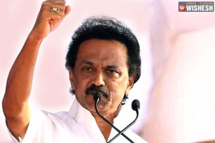Opposition DMK Slams Taxation On Petrol, Diesel In TN