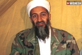 Osama bin Laden, Abbottabad, osama bin laden s head had to be put together for identification claims ex navy seal, The operator