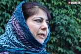 Mehbooba Mufti, Jammu and Kashmir, pdp mlas unhappy in the delay in the formation of govt in j k, Pdp