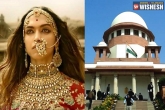 Padmaavat latest, Shahid Kapoor, padmaavat cannot be banned says supreme court, Ranveer singh