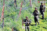 arms firing, arms firing, pakistani troops violated border ceasefire, Mortar shelling