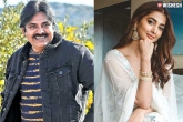 Pooja Hegde, Pawan Kalyan new film, pawan kalyan to romance pooja hegde, Pooja hegde