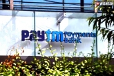 Paytm Payments Bank, Paytm Payments Bank breaking, rbi may cancel licence of paytm payments bank, Rbi