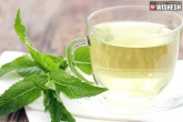 Natural Remedies, Health Benefits, health benefits of peppermint tea, Home remedies