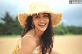 Pooja Hegde next biggie, Pooja Hegde new film, pooja hegde bags one more biggie, Movie news