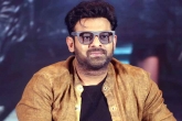 Prabhas upcoming movies, Prabhas new projects, prabhas in talks for one more bollywood film, Bollywood