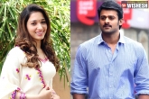 Tamannaah, Prabhas, prabhas to do a cameo in tamannaah s khamoshi, Amos