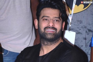 Prabhas to shift his focus on Project K