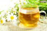 amazing benefits of chamomile tea, chamomile health benefits, preparation and health benifits of chamomile tea, Chamomile tea