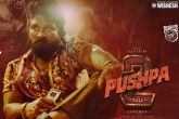 Pushpa: The Rule new release date, Thandel, two telugu films aiming pushpa 2 release date, Ani