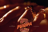 Sukumar, Pushpa: The Rule breaking news, record deal for pushpa the rule satellite rights, Satellite rights