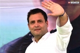 Rahul Gandhi updates, Rahul Gandhi new, mixed reactions for rahul s wayanad move, Parties