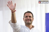 Rahul Gandhi new, Rahul Gandhi next, official now rahul is the new president of aicc, Aicc