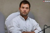 Rahul Gandhi, All India Congress Committee, rahul gandhi seeks report from k taka govt over pothole deaths, All india congress committee