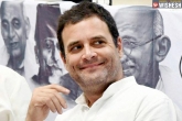 Rahul Gandhi news, INC, rahul gandhi all set to turn congress chief, Congress president