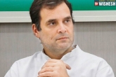 Rahul Gandhi news, AICC, rahul gandhi keen to step down congress in search for a successor, Congress party