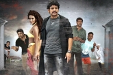 Raju Gari Gadhi 2 Telugu Movie Review, Nagarjuna Akkineni, raju gari gadhi 2 movie review rating story cast crew, Raju gari gadhi