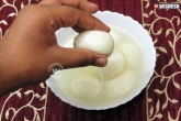 simple dessert preparations, tasty and easy dessert recipes, recipe preparation of rasgulla, Dessert