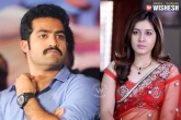 Tollywood Movie, Jr.NTR, rashi khanna roped in for ntr s upcoming flick, Tollywood movie