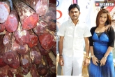 YSRCP, YSRCP, red sandalwood smuggler affair with telugu actress, Seshachalam