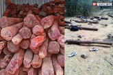 chittoor, redsandalwood, red sandalwood smugglers shot dead by police, Red sandalwood