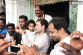 TRS, Rahul Gandhi, result of rahul gandhi s padayatra, Padyatra