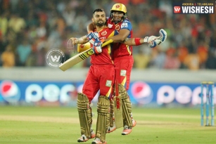 Royal Challengers registered a six wicket win over Sunrisers Hyderabad in IPL