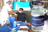 Coronavirus vaccine, coronavirus vaccine India updates, serum institute of india receives a coronavirus vaccine purchase order from the centre, Indian government