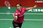 World Championship, Saina Nehwal, saina must win all england world championship says coach vimal kumar, Saina