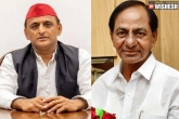 KCR and Samajwadi Party updates, KCR and Samajwadi Party updates, samajwadi party invites kcr for up poll campaign, Trs
