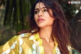 Samantha new movie, Samantha new movies, samantha lining up several bollywood projects, Bollywood