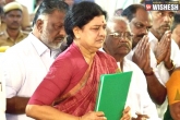 O Panneerselvam, Jayalalithaa, will sasikala natarajan take over as tamil nadu cm, M natarajan