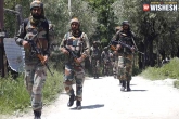 Encounter, Kasmir, 1 terrorist killed in an encounter with security forces in kashmir, Security forces