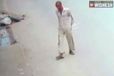 Man, video, delhi security guard hit by delivery van passerby steals his phone, Security guard