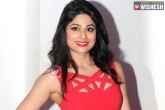 Bollywood celebrity, Shamita Shetty, bollywood actress sister turns down tv show over pay cheque, Vision